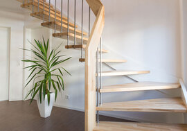 Zimmerpflanze unter der Treppe für ein besseres Raumklima